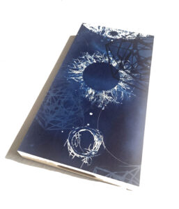 photo Andrea Cote, "Blue Bodies Rising 3" current bid 175